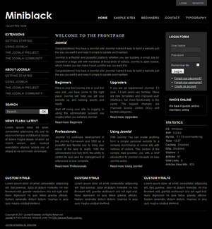 miniblack-300